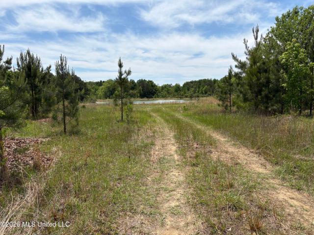 Land for sale in Turnetta, Canton