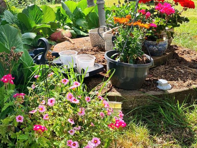 Hus hyra i Karby, Stockholm