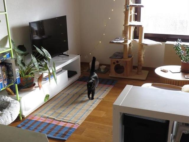 Zimmer mieten in Steingasse, Vechigen