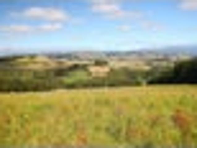 Land for sale in Southland