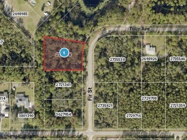 Land for sale in Eustis, Florida