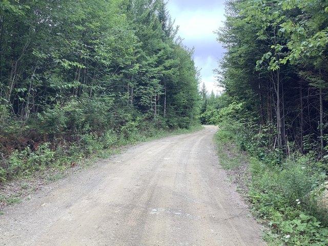 Land for sale in Linneus, Maine