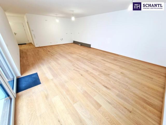 Terrassenwohnung kaufen in Wien