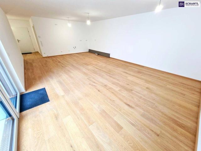 Apartment kaufen in Liesing, Wien