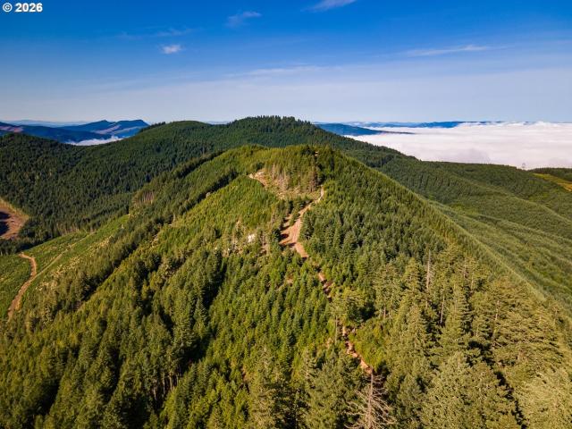 Land for sale in Oregonia
