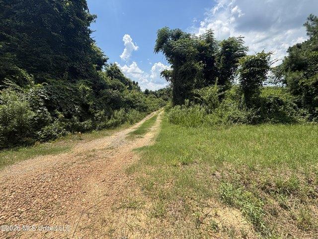 Land for sale in Mississippi