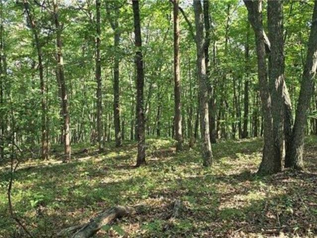 Land for sale in Jasper, Pickens County