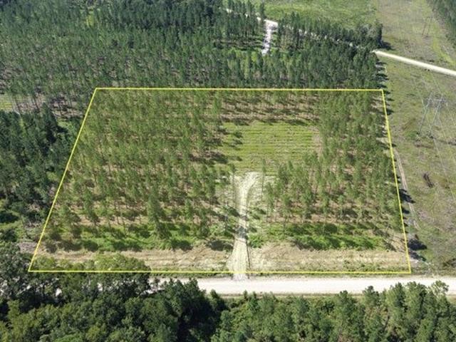Land for sale in Glynn, Georgia