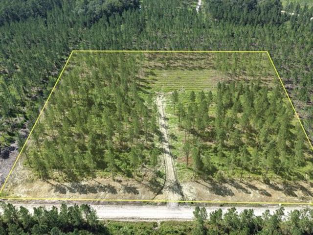Land for sale in Glynn, Georgia