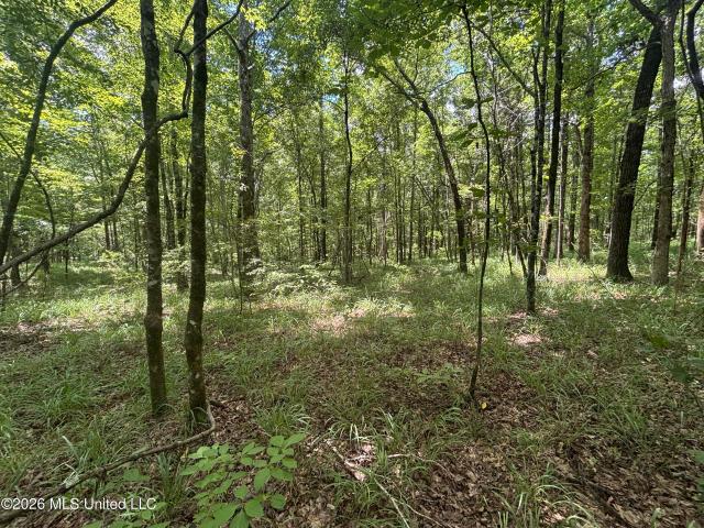 Land for sale in Mississippi