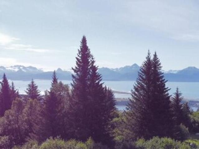 Land for sale in Gomer