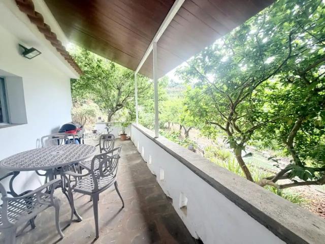 Apartamento en alquiler en Firgas, Canarias