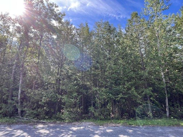 Land for sale in Presque Isle, Michigan