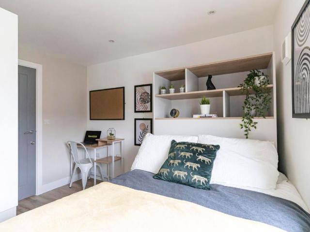 Room for rent in Hampshire