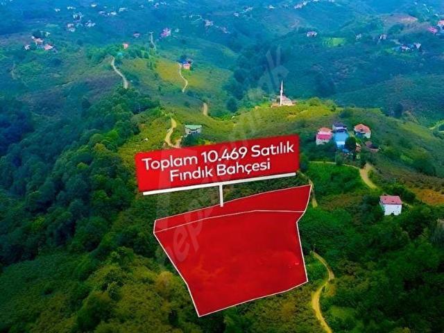 Terme, Samsun içerisinde satılık mülk