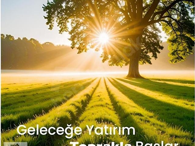 İskele Mahallesi, Urla içerisinde satılık Arsa