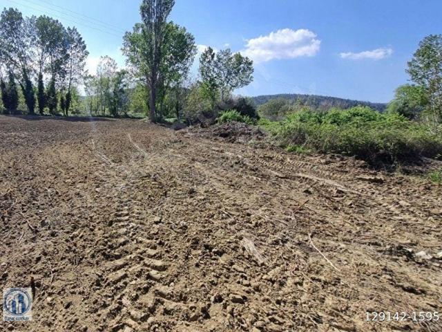 Ilgardere, Gelibolu içerisinde satılık Arsa