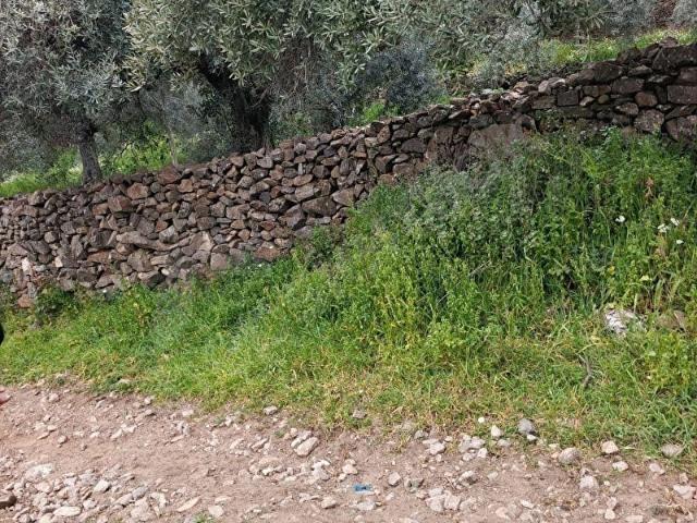 İkizdere, İncirliova içerisinde satılık mülk