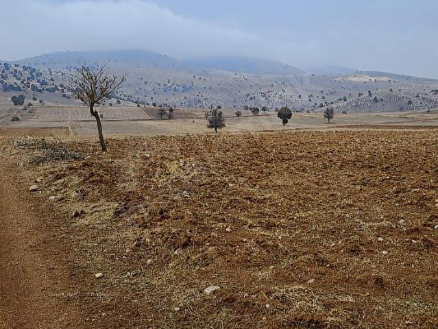 Başkuyu, Yeşilova içerisinde satılık Arsa