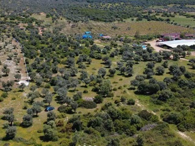 Göbel, Kepsut içerisinde satılık Arsa