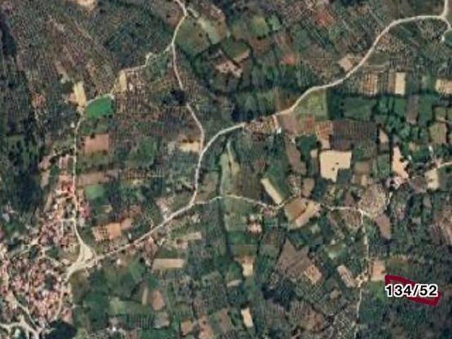 Milas, Muğla içerisinde satılık mülk