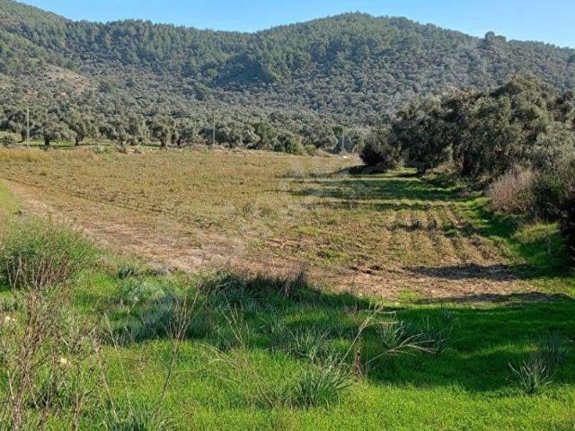 Milas, Muğla içerisinde satılık Arsa