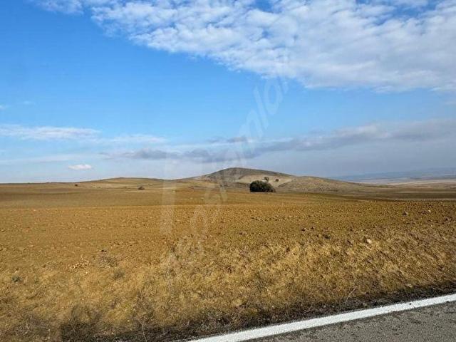 Haymana, Ankara içerisinde satılık Arsa