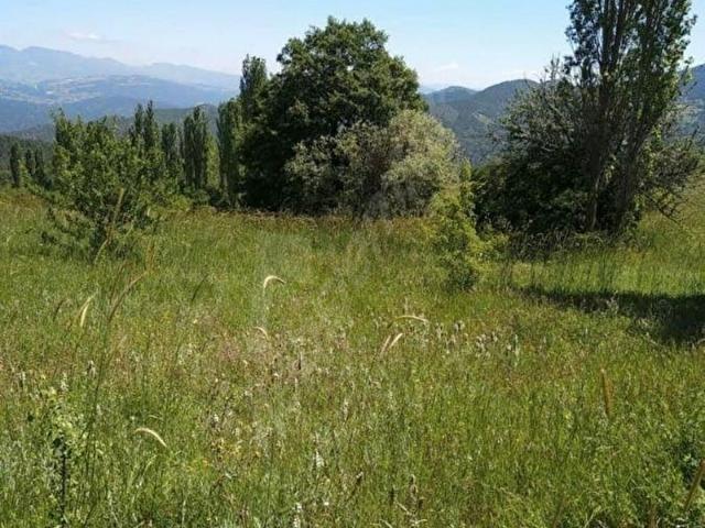 Gölpazari, Bilecik içerisinde satılık Arsa