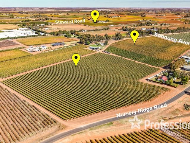 Cottage for sale in Red Cliffs