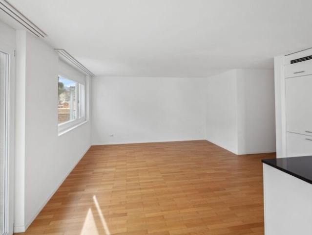 Apartment mieten in Bichelsee-Balterswil, Thurgau