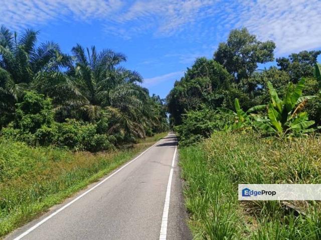 House for sale in Muar, Johor
