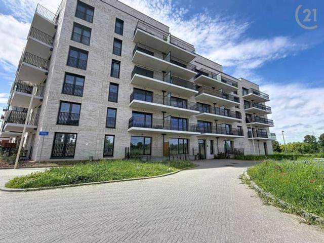 Kot location à Anderlecht, Bruxelles