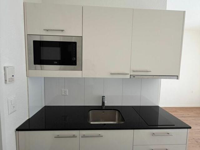 Apartment mieten in Einigen, Zürich