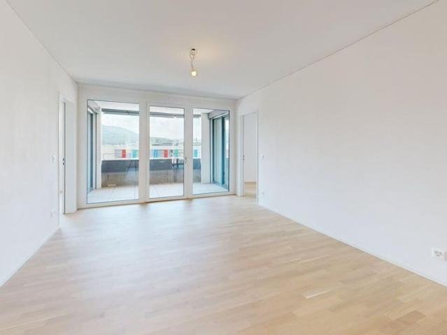 Apartment mieten in Aesch (BL), Basel-Landschaft