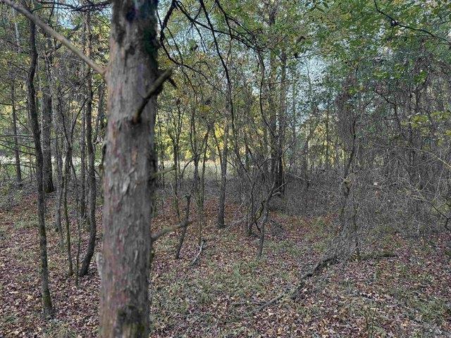 Land for sale in Ark