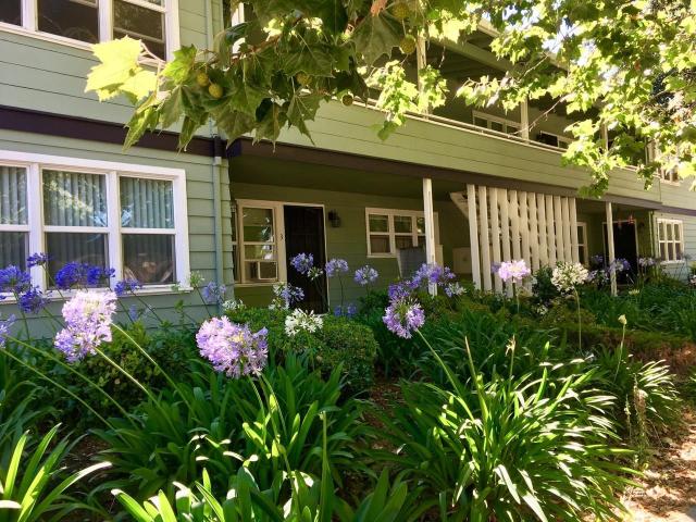 Apartment for rent in San Jose, California