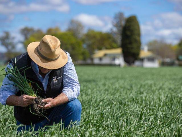 Property for sale in Felton, Toowoomba Regional