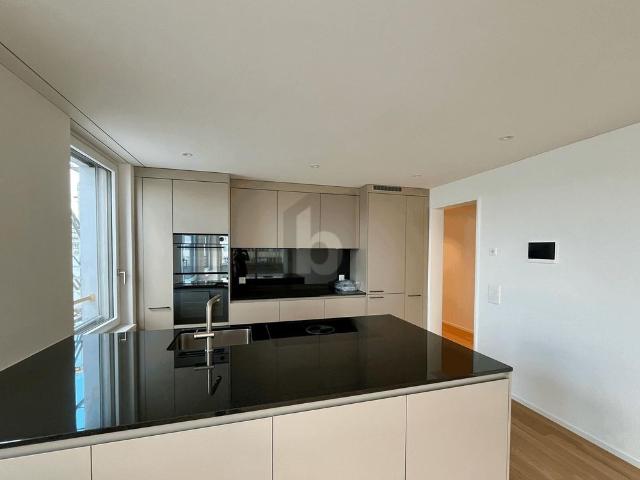 Apartment mieten in Einigen, Zürich