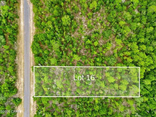 Land for sale in Chipley, Florida