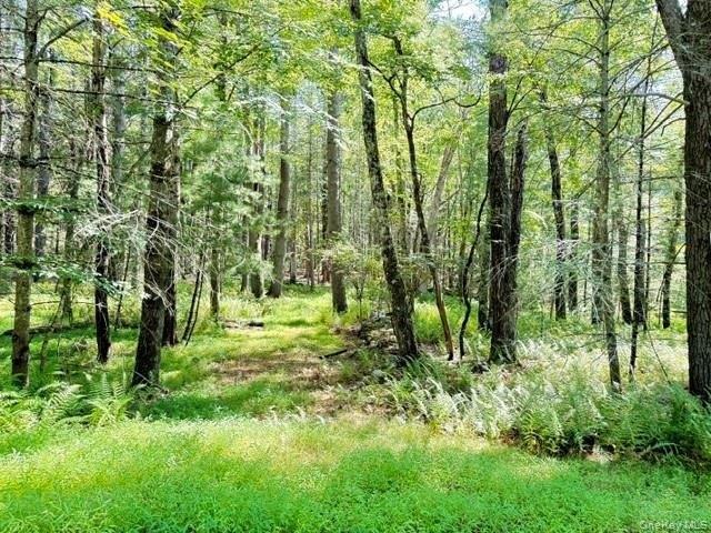 Land for sale in Glen Spey, New York