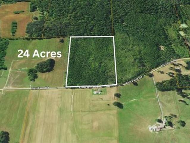 Land for sale in Golconda, Pope County