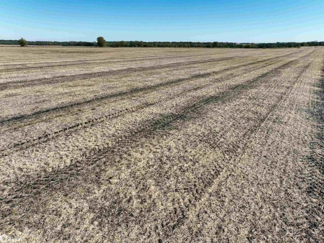 Farm for sale in Webster City, Iowa