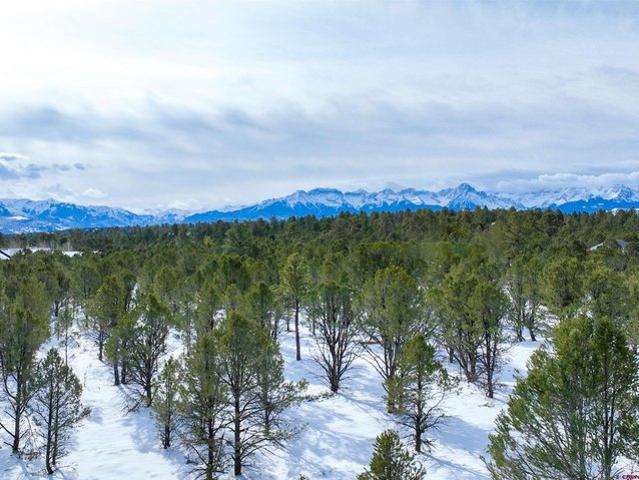 Land for sale in Ridgway, Colorado