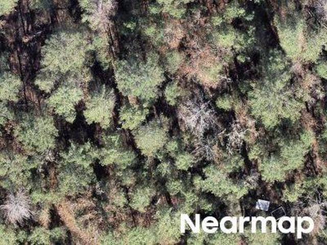 Land for sale in Florida