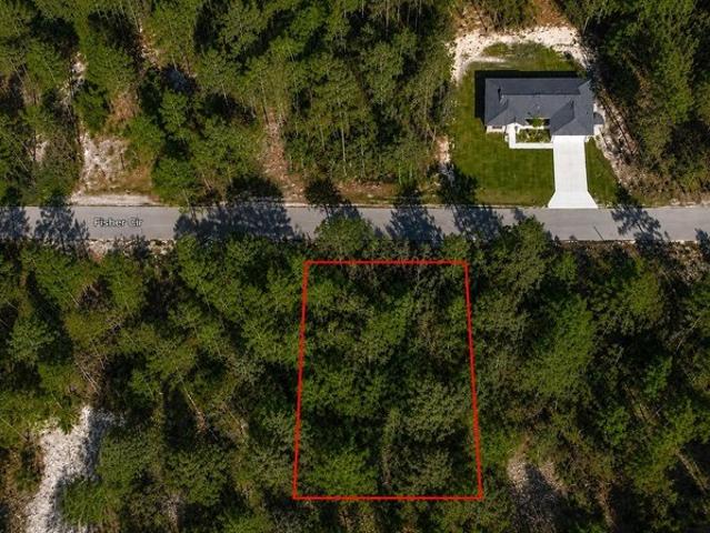 Land for sale in Ocklawaha, Florida