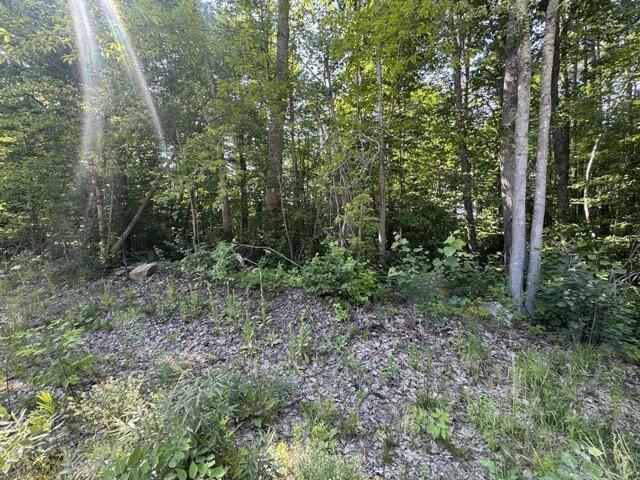 Land for sale in Limerick, Maine