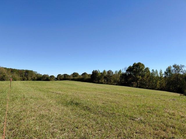 Land for sale in Loretto, Middle Tennessee