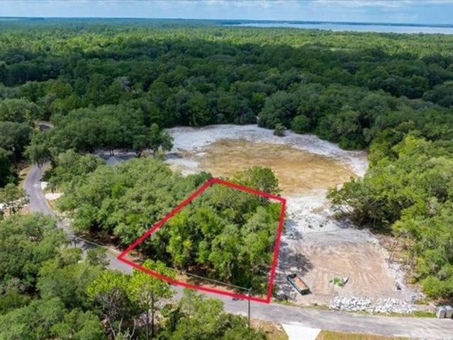 Land for sale in Ocklawaha, Florida