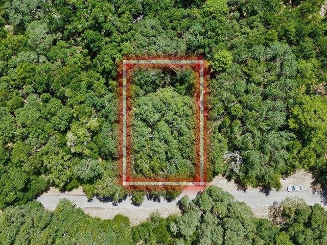 Land for sale in Ocklawaha, Florida