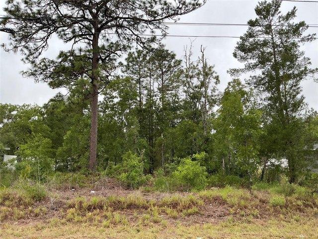 Land for sale in Ocklawaha, Florida